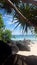 Tropical - Coolangatta Beach from the shade of the Rocks, Qld  Australia