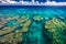 Tropical coral reef on Upolu island, Samoa, perfect for snorkling