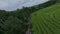 Tropical countryside landscape creek stone water stream rice field palm trees rainforest aerial view