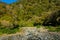 Tropical creek, flowing with glacier water surrounding of vegetation in south island located in new zealand