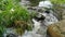 A tropical creek with water rushing under a culvert.