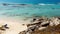 tropical cypus paradise beach with white sand and stones, two beach bed in a corner, travel tourism wide panorama background