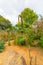 Tropical desert plants in a garden