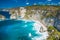 Tropical Diamond beach with coconut palms and cliff