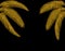 Tropical Different shaped golden palm leaves. At both sides. Isolated on a black background without mesh and gradient