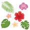 Tropical different type exotic leaves and flowers set. Jungle plants. Monstera and palm leaves. Orchid, hibiscus and