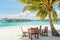 Tropical dining place under the palm tree at the beach