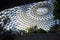 The Tropical Display Dome at Brisbane Botanic Gardens