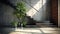 tropical dracaena tree on modern landing staircase in sunlight from window black cement stone stair