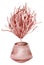 Tropical dried red plant in a ceramic vase. Watercolor exotic illustration. Colorful composition