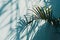 Tropical Elegance: Palm Shadow on Pale Blue Wall