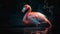 Tropical elegance Pink water bird reflects tranquility generated by AI