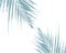 Tropical Elegant Foliage background blue pastel palm leaf