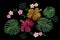 Tropical embroidery flower arrangement. Exotic plant blossom summer jungle. Fashion print textile patch. Hawaii hibiscus plumeria