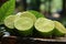 Tropical escape, a juicy lime slice on a sunlit wooden table