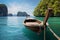 Tropical escape in Krabi Private longtail boat, a travelers dream