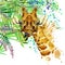 Tropical exotic forest, green leaves, wildlife, giraffe, watercolor illustration. watercolor background unusual exotic nature