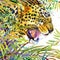 Tropical exotic forest, jaguar, green leaves, wildlife, watercolor illustration.