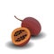 Tropical exotic fruit tamarillo, slices of fresh fruit illustration in flat cartoon style. icon. Fruit for juice a