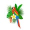 Tropical exotic leaf flowers scarlet macaw parrot arrangement