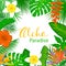 Tropical exotic leaves and flowers plants frame background