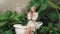 Tropical and exotic spa garden with bathtub in modern hotel or resort. Blithe