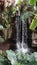 Tropical exotic waterfall with plants around