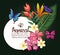 Tropical and exotics flowers with butterflies