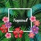 Tropical and exotics flowers and leafs