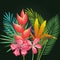 Tropical and exotics flowers and leafs