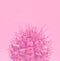 Tropical fashion pink cactus on paper background. Trendy minimal pop art style and colors.