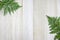 Tropical fern leaf on wood board background
