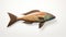 Tropical Fish Sculpture: Vibrant Woodcarvings And Mural Painting