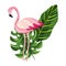 Tropical flamingo cartoon