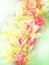 Tropical floral background with orchids