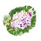 Tropical flowers branch orchids dots purple and white Phalaenopsis with tropical leaves of banana ficus,palm,philodendron on w