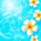 Tropical flowers floating on clear blue water