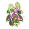 Tropical flowers floral arrangement, with Orchid Dendrobium nobile spotted purple and white palm,philodendron vintage vector