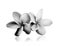 Tropical flowers frangipani (plumeria) black and white