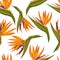 Tropical flowers seamless pattern. Fabric print. Exotic textile design. Orange floral plant in cartoon style