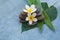 Tropical flowers on stones on leaves for relax massage room