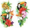 Tropical flowers and toucan