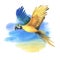 Tropical flying blue-yellow macaw parrot. Hand drawn watercolor botanical illustration. Isolated element on a blue spot