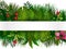 Tropical foliage. Floral design background