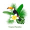 Tropical foliage leaf flower arrangement with toco toucan