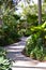 Tropical foothpath exotic palm forest