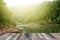 Tropical forest above a wooden floor