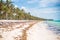 Tropical forest on the Atlantic coast. Palms, sand, algae and waves.