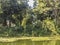 Tropical forest at Granada islands, Nicaragua