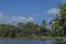 Tropical forest at Granada`s Islands